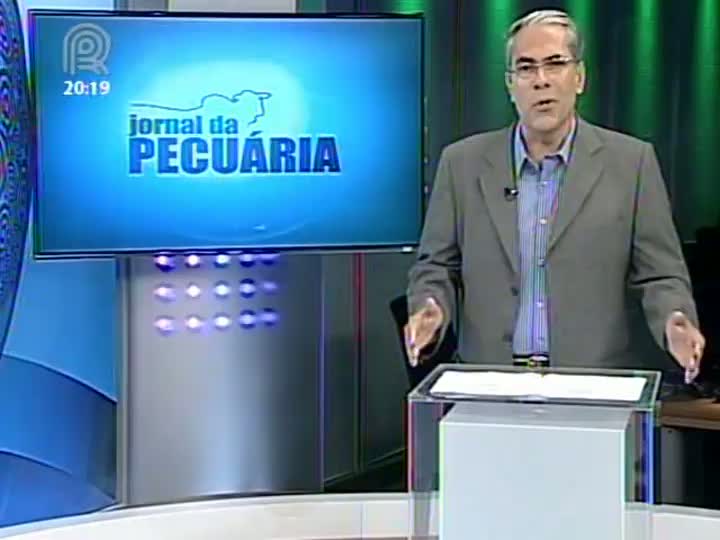 Analisa da Scot Consultoria fala sobre o mercado de boi gordo