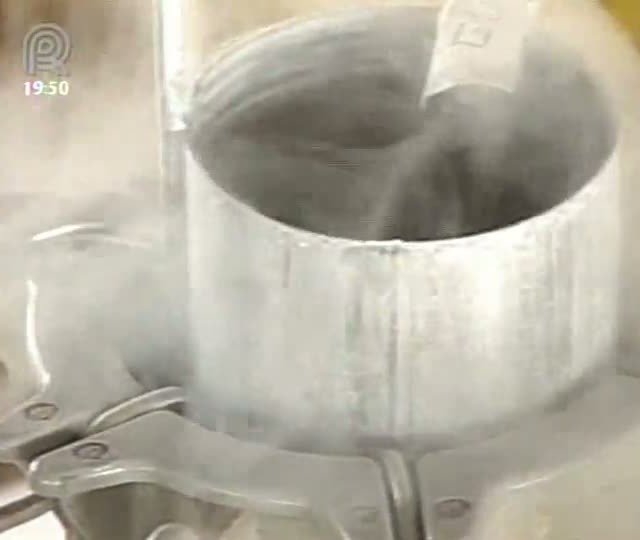 Fecundação in vitro é alternativa para padronizar e melhorar eficiência do rebanho leiteiro