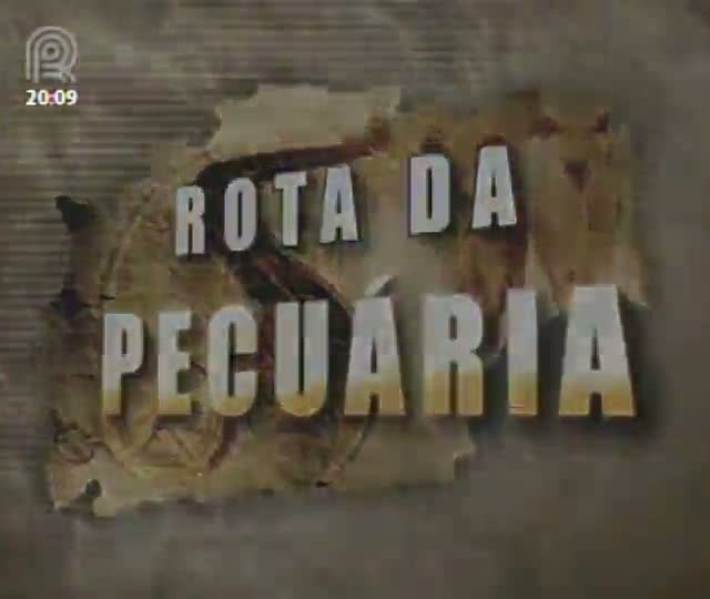 Conheça o integração lavoura-pecuária-floresta