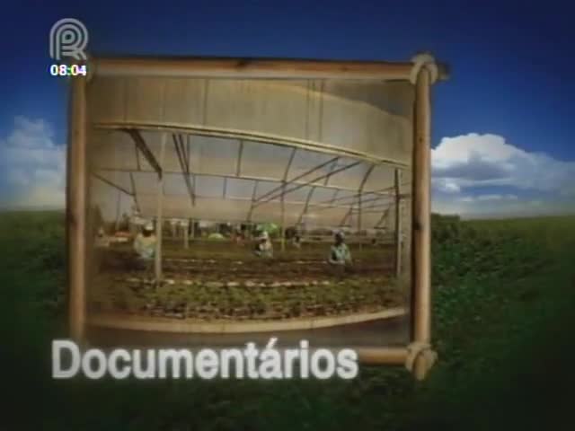 Painel Florestal esclarece dúvidas sobre o seguro florestal