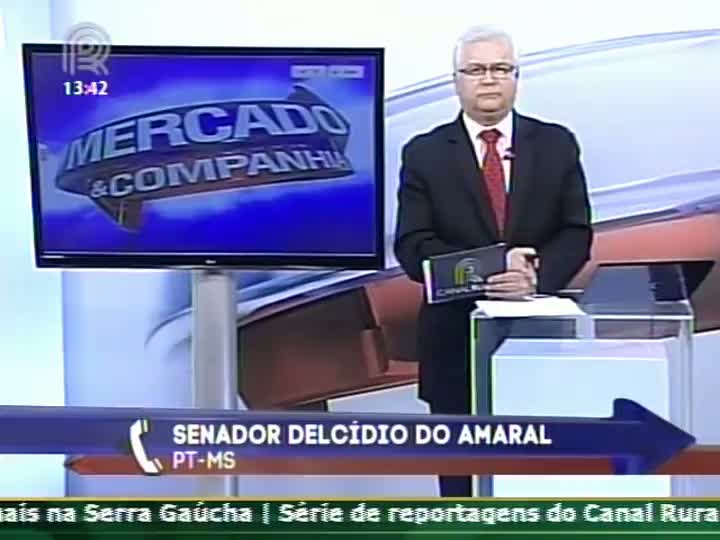 Senador Delcídio do Amaral Gomez (PT-MS) comenta que se deve ter cuidado com as demarcações de terras indígenas