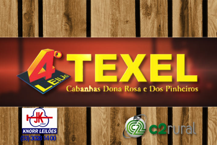 4º Leilão Texel