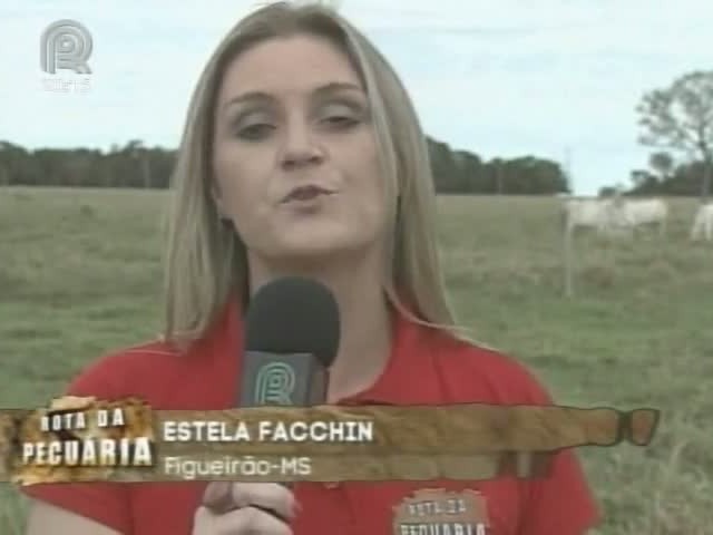 Equipe da Rota da Pecuária mostra exemplo de rotação de pastagens em Mato Grosso do Sul