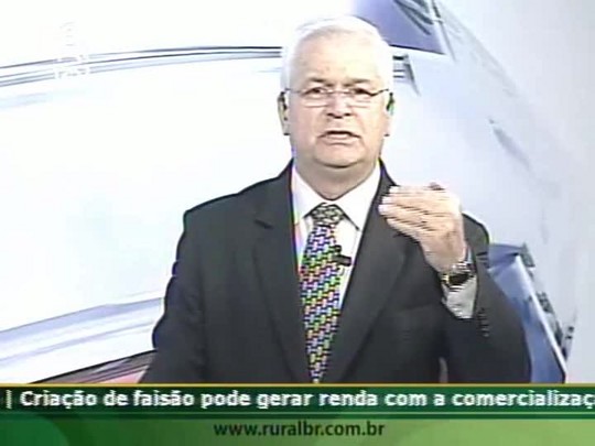 Presidente da Câmara Setorial questiona decisão judicial