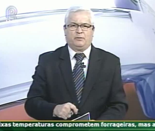 Contratos futuros de soja devem cair após divulgação do relatório da USDA