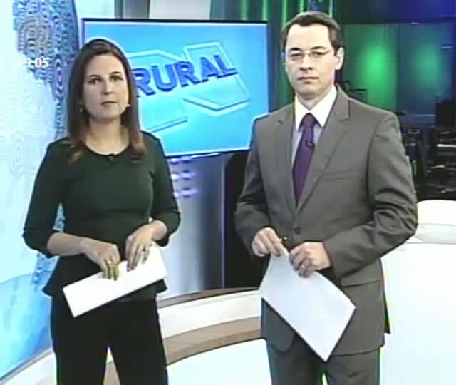 Falta de estrutura da polícia compromete fiscalização de roubo de gado no Rio Grande do Sul
