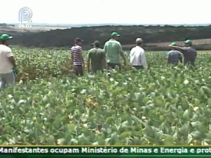 Técnica Rural - Soja - Dia De Campo