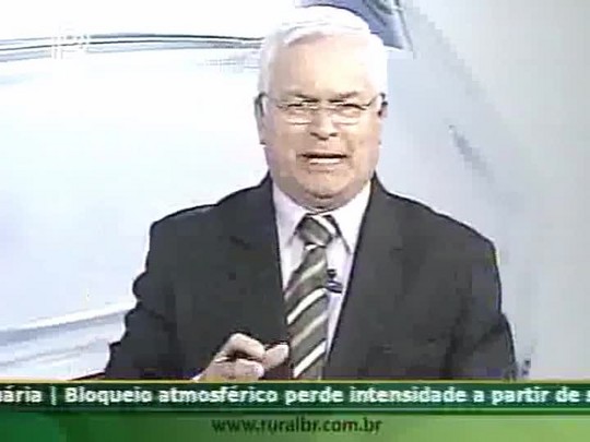 Produtor de Doutor Camargo (PR) fala sobre as perdas na lavoura devido à falta de água