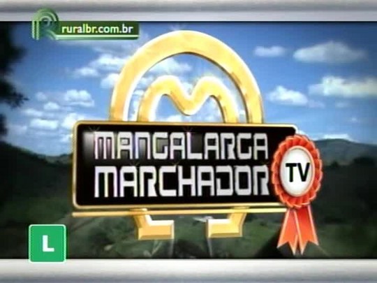 Mangalarga Marchador exibe série de reportagens que foram destaque em 2013