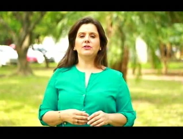 Percevejo interfere na qualidade da soja e nos custos do produtor