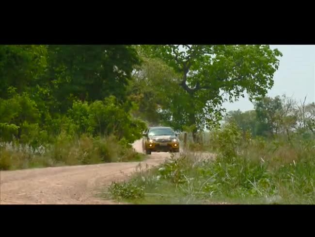 Conheça a fazenda onde é criado o maior plantel de gado senepol do país