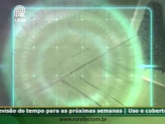 Helicoverpa deixa de ser um problema para algumas regiões da Bahia