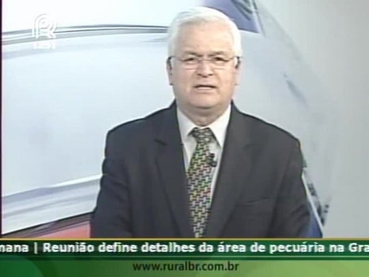 Excesso de calor prejudica o desenvolvimento do café no Sudeste