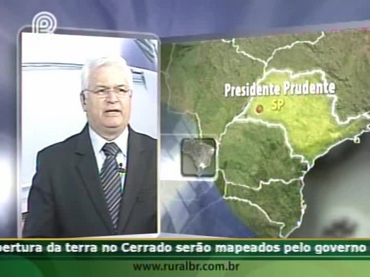 Seca prejudica a pastagem em Presidente de Prudente (SP)