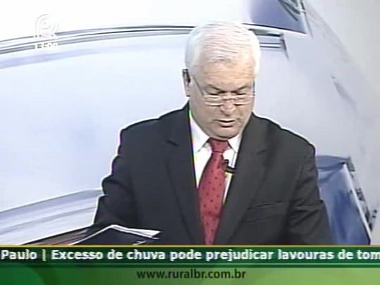 São Paulo tem oferta de até R$ 118,00 por arroba de boi gordo