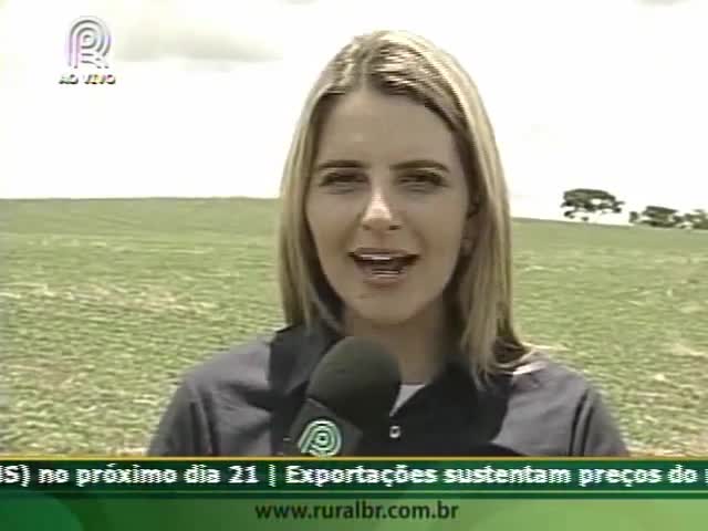 Parceria campo e indústria favorece produção em Goiás