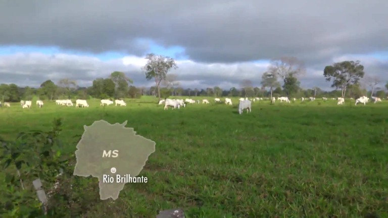 Parceiros do Campo- Campo Grande – MS