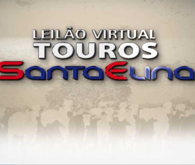 Leilão Virtual Touros Santa Elina