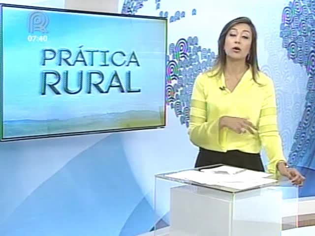 Prática Rural fala sobre correção do solo no combate à ferrugem da soja