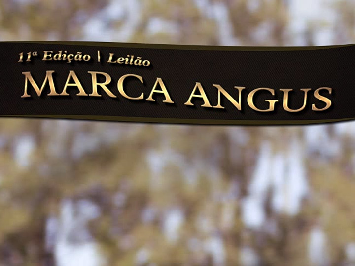 11ª edição do Leilão Marca Angus