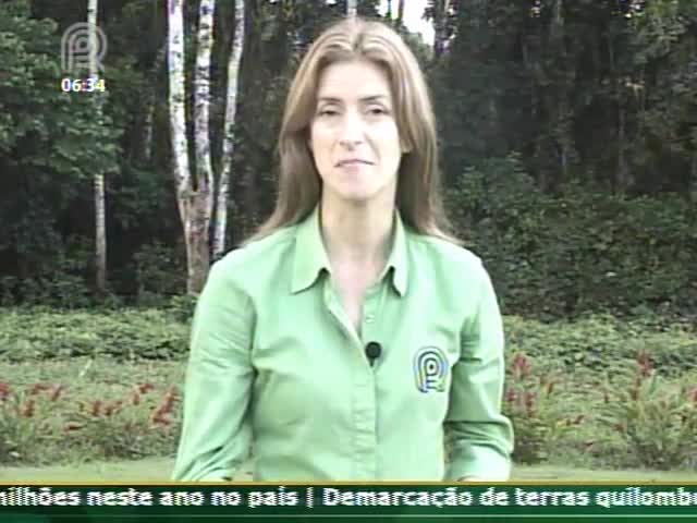 Técnica Rural - Gestão & Inovação - Projeto Ouro Verde Bahia