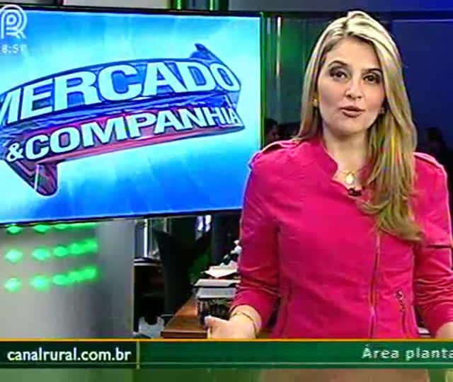 Custo de produção de carnes avança 7% em 10 dias