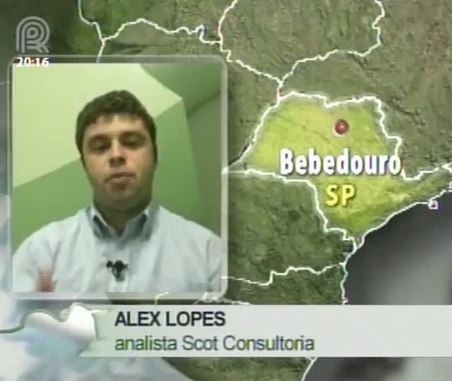 Analista da Scot Consultoria fala sobre o mercado de boi gordo