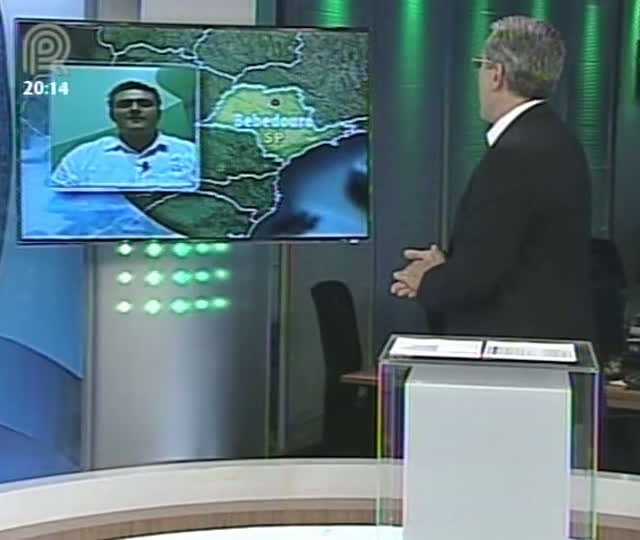 Analista da Scot fala sobre o mercado de boi gordo e fertilizantes
