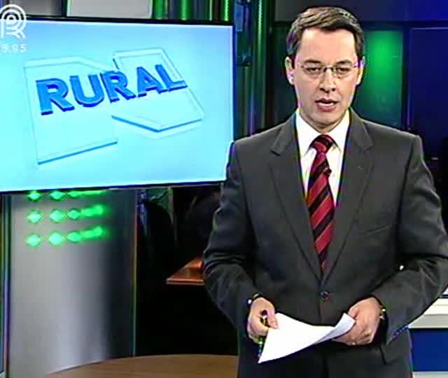 Esperando boas oportunidades, produtores de MS negociaram apenas 12% da safra