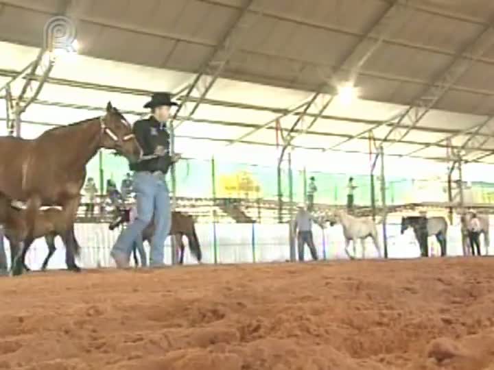 Prova de Conformação volta a ganhar destaque no Campeonato Nacional do quarto de milha