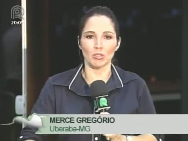 Foi aberta a 10ª edição da Megaleite, uma das maiores feiras de pecuária leiteira do país