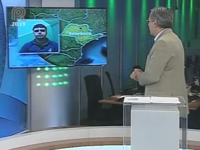 Analista da Scot Consultoria fala sobre preço do boi gordo