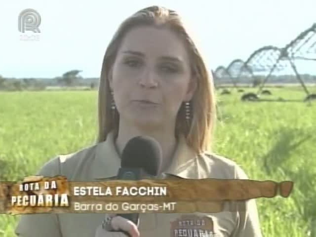 Equipe do Projeto Rota da Pecuária conhece fazenda que utiliza pivô na irrigação de pastagem