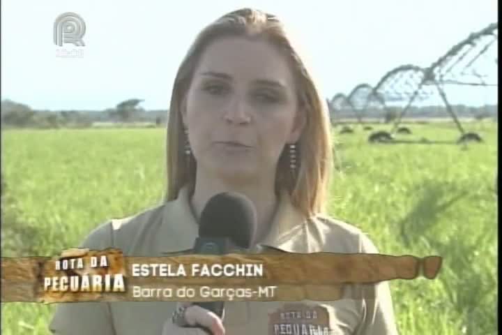 Equipe do Projeto Rota da Pecuária conhece fazenda que utiliza pivô na irrigação de pastagem