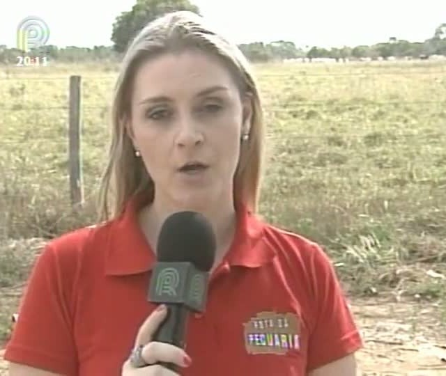 Projeto Rota da Pecuária mostra situação dos produtores da região norte de Goiás