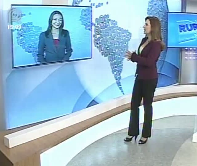 Emater apresenta nova opção de pastagem para o Centro-Oeste resistente ao inverno