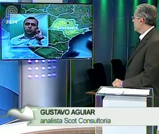 Analista da Scot Consultoria diz que frigoríficos têm pressionado o mercado