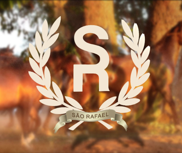 18° Remate Anual São Rafael