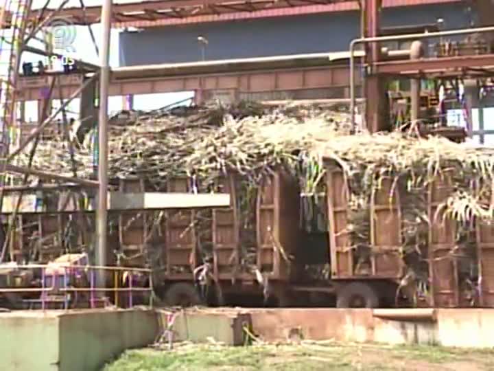 Grãos pagam custos de reformas nos canaviais em Minas Gerais