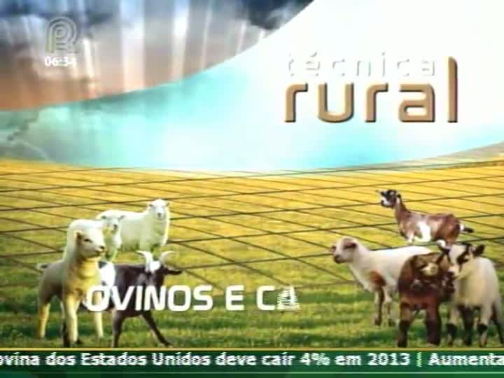 Técnica Rural - Ovinos - Produção de Leite