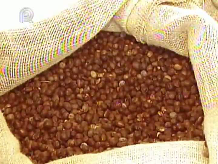 Programa Eu produzo, eu preservo mostra principais produtoras de cafés especiais do Brasil