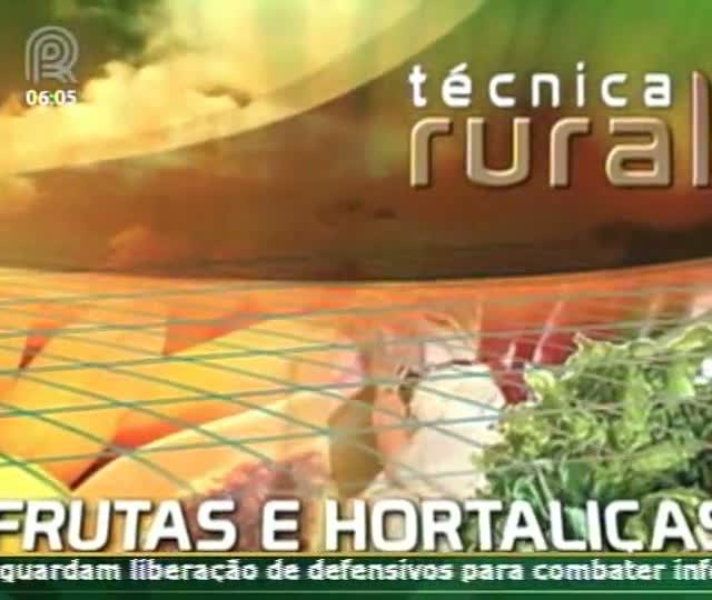 Técnica Rural - Tomate Geminivirus