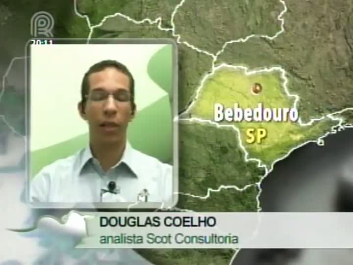 Analista da Scot Consultoria fala sobre a chuva que tem prejudicado a colheita de soja