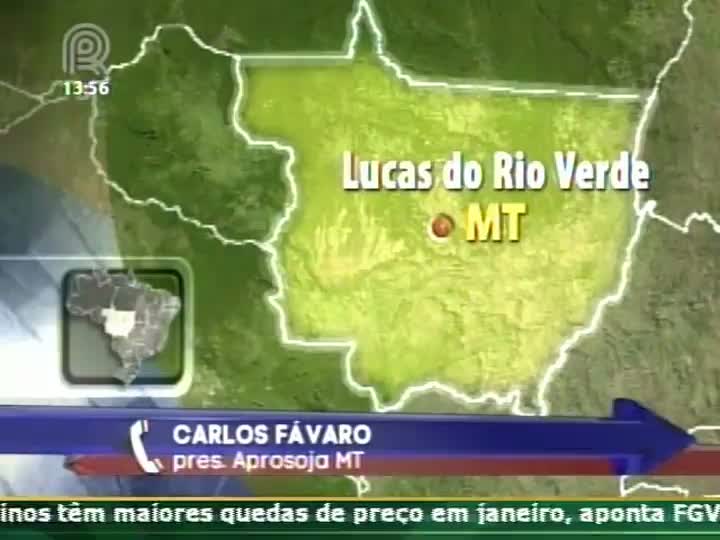 Presidente da Aprosoja fala sobre a cobrança de royalties feita pela Monsanto