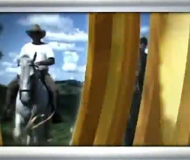 Parte 1: Mangalarga Marchador TV e Beija-Flor juntos no Sambódromo do Rio de Janeiro