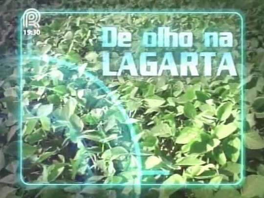 Produtores são orientados a realizar o Manejo Integrado de Pragas em Santa Catarina