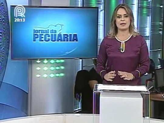 Analista de mercado da Scot Consultoria fala como foi 2013 e as perspectivas para a pecuária no início de 2014