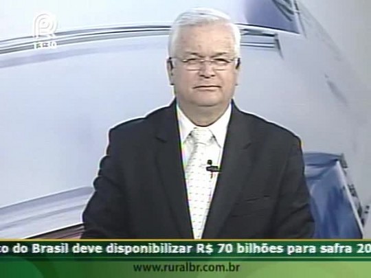 Presidente de sindicato rural comenta clima em SP e critica falta de política agrícola para o país