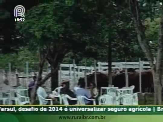 Preço da carne angus pago ao produtor no RS é o maior dos últimos anos