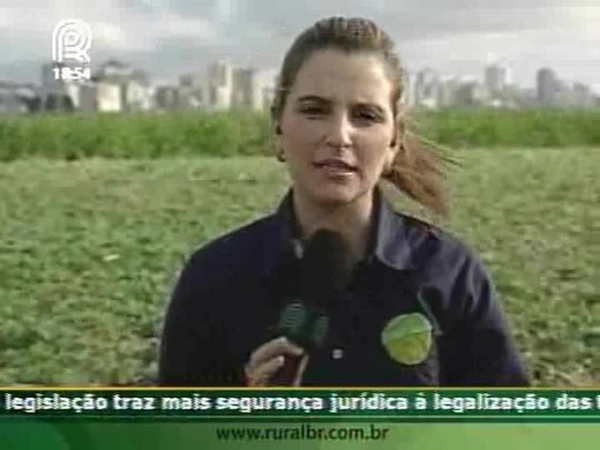 Chefe da Embrapa-Trigo reafirma alta qualidade do trigo brasileiro